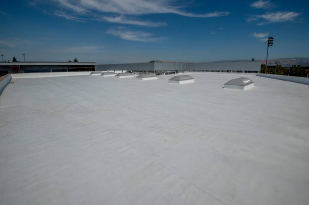 Best Solar Panel Roofing Installation  in Clearview, WA